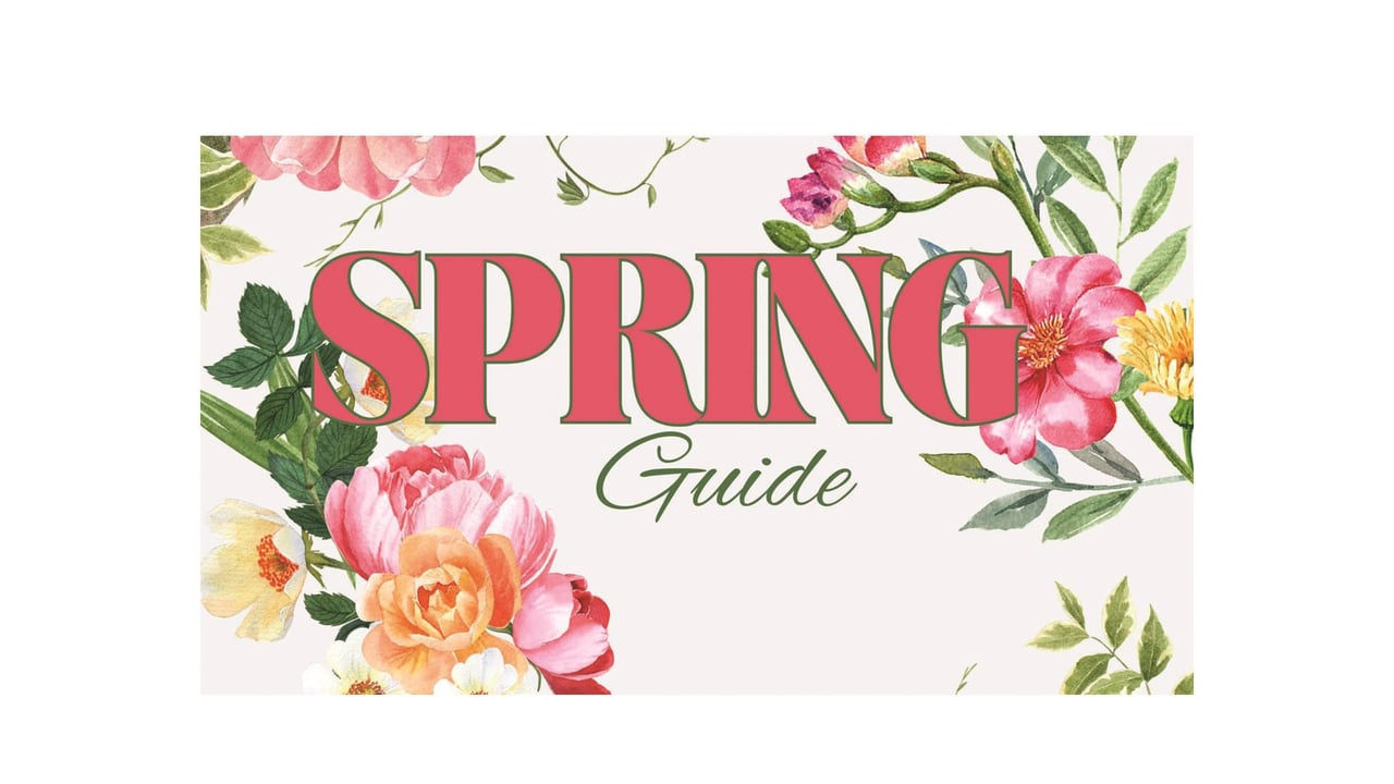 138391 Spring Graphic